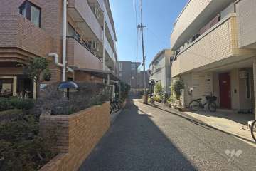 敷地西側の前面道路（北側から）