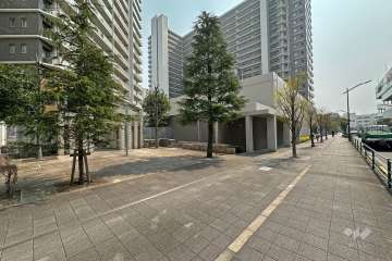 敷地の西側前面道路は「せんぷ通り」です（北側から）。