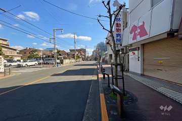 敷地北側の前面道路（西側から）