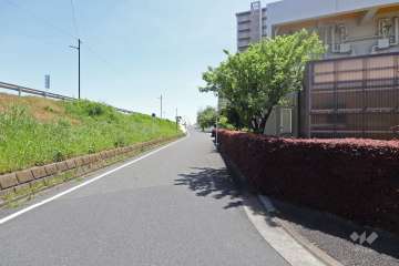 敷地東側の前面道路（北側から）