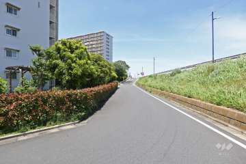 敷地東側の前面道路（南側から）