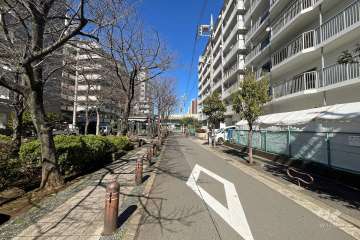 敷地西側の前面道路