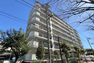 ネオコーポ亀有の外観(北西側から)