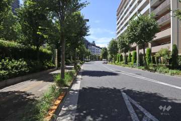 敷地北側の前面道路（東側から）