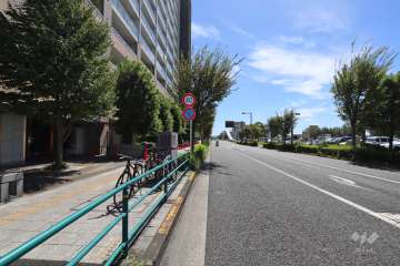 敷地西側の前面道路(北側から)