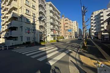 敷地南東側の前面道路（南西側から）
