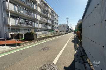 敷地の西側前面道路（北側から）