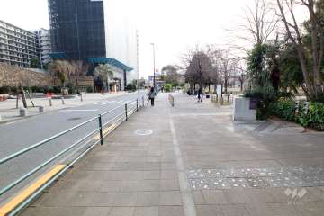 敷地東側の前面道路（北側から）