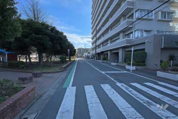 敷地の東側前面道路（北側から）