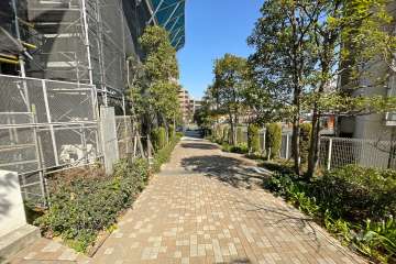 敷地東側の前面道路（北側から）