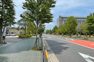 敷地北側の前面道路（東側から）