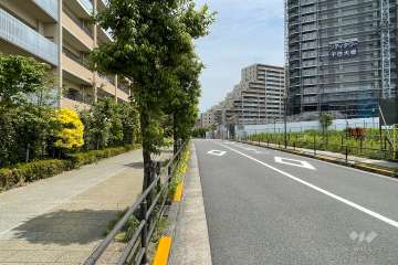 敷地南側の前面道路（西側から）