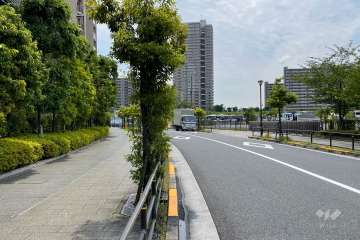 敷地西側の前面道路（北側から）