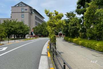 敷地の西側前面道路（南側から）