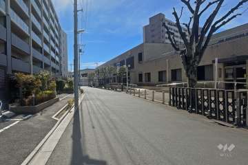 敷地西側の前面道路（北側から）
