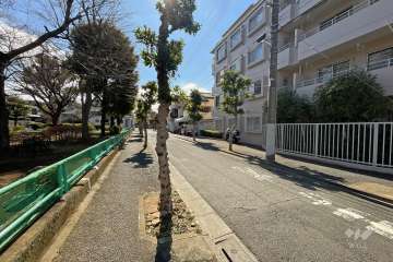 敷地東側の前面道路（北側から）