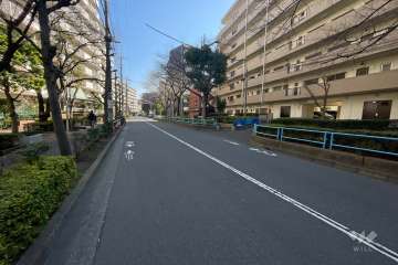 敷地北側の前面道路（西側から）