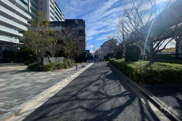 敷地南側の前面道路（西側から）