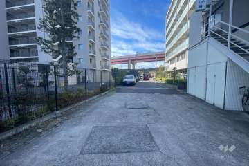 敷地西側の前面道路（北側から）