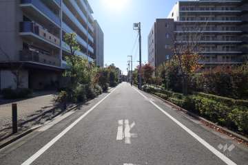 敷地北西側の前面道路(北側から)