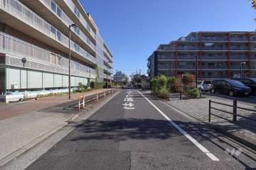 敷地北側の前面道路(西側から)