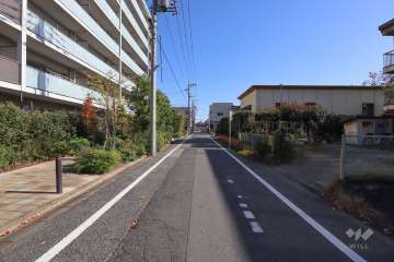 敷地南側の前面道路(西側から)