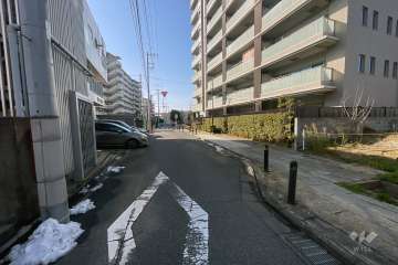 敷地の西側前面道路（南側から）