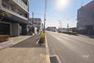 敷地西側の前面道路（北側から）