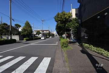 敷地西側の前面道路(南側から)
