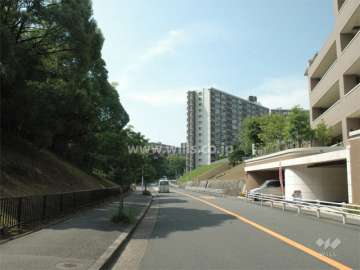 敷地の西側には道を挟んで桃山公園が広がっています。