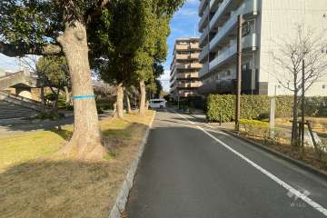 敷地西側の前面道路　