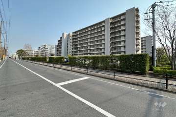 敷地の北側前面道路の向かいには『諏訪木東公園』があります（西側から）。