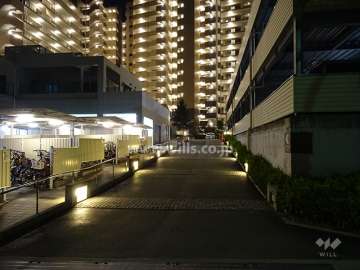 ライトアップされた車路