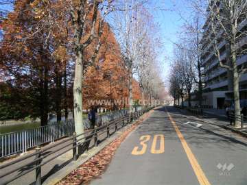 敷地の西側には道を挟んで『佐竹公園』が広がっています。