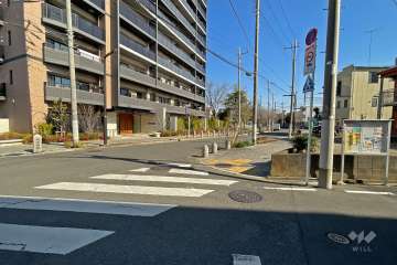 敷地南側の前面道路（西側から）