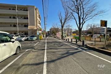 敷地北側の前面道路（西側から）