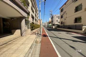 敷地の南側前面道路（西側から）