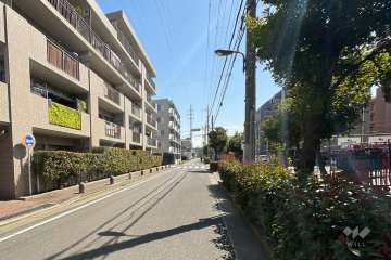 敷地の西側前面道路（北側から）