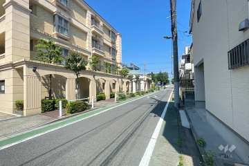 敷地の東側前面道路（南側から）