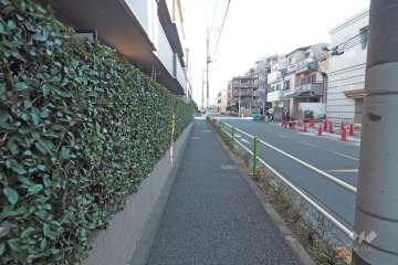 敷地南西側の前面道路（北西側から）