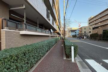 敷地の南側前面道路（西側から）