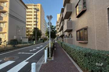 敷地の西側前面道路（南側から）