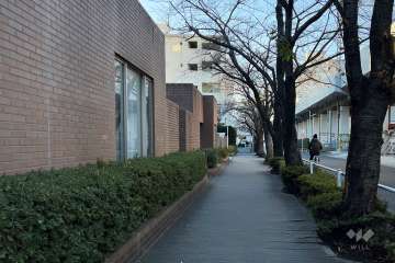 敷地北側の前面道路