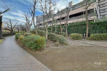 敷地の北東側の通路は石神井川に面しています（北西側から）。