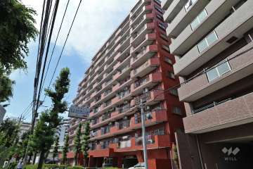 シャンボール志村坂上の外観（南側から）