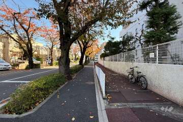 敷地北側の前面道路（西側から）