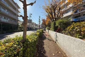 敷地南東側の前面道路（北東側から）