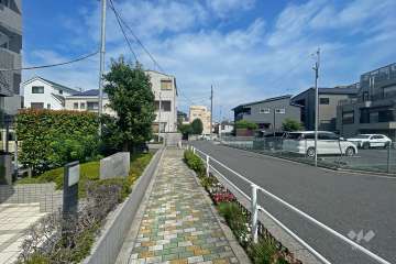 敷地の西側前面道路（北側から）