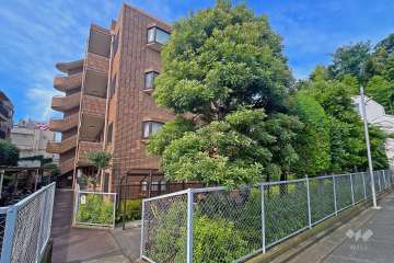 スターロワイヤル常盤台壱番館の外観（北東側から）