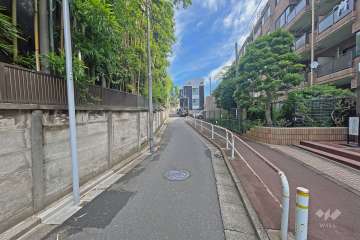 敷地の西側前面道路（南側から）の向かいには、緑豊かな『板橋東新町氷川神社』があります。